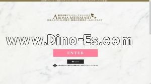 六本木の「アロママーメイド 赤坂店」電話番号：03-6907-1786