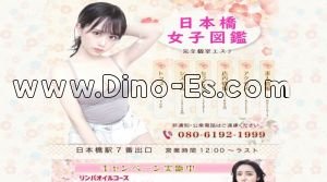 日本橋駅近くのメンズエステ店舗（日本橋女子図鑑） | DINOエステ（ディノエステ）