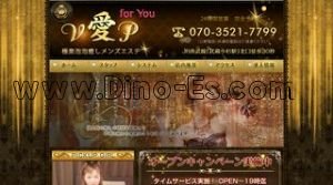 武蔵小杉駅近くのメンズエステ店舗（V愛P） | DINOエステ（ディノエステ）