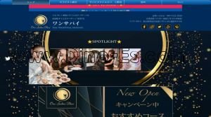 池袋の「ワンサバイ」電話番号：080-3522-2828