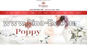 久屋大通駅近くのメンズエステ店舗（poppy～ポピー～） | DINOエステ（ディノエステ）