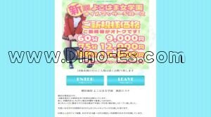 阪東橋の「よこはま女学園」電話番号：045-315-4522