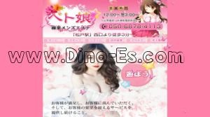 松戸の「ベト娘」電話番号：050-6878-4113