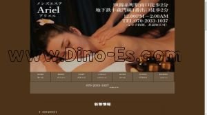 錦糸町の「アリエル」電話番号：070-2033-1037