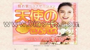 豊川(愛知)の「天使の誘惑」電話番号：080-9080-1137