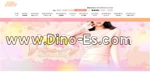 豊田市駅近くのメンズエステ店舗（トロトロパニック） | DINOエステ（ディノエステ）