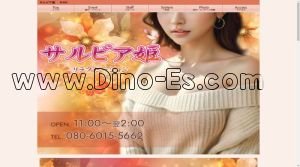 草津駅近くのメンズエステ店舗（サルビア姫） | DINOエステ（ディノエステ）