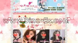 船橋の「ドキドキハニー」電話番号：090-6305-3166