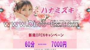 津田沼の「ハナミズキ」電話番号：080-3587-9888