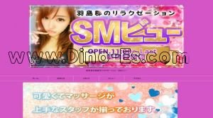岐南の「SMビュー」電話番号：080-9490-6926