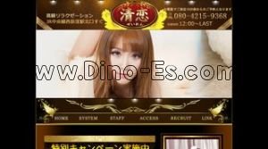 清恋~せいれん~ メンズエステ | DINOエステ(ディノエステ) 西荻窪駅近くのメンズエステ店舗(清恋~せいれん~) | DINOエステ(ディノエステ)
