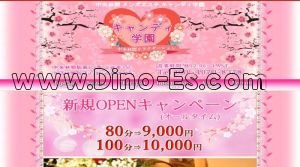 中央林間駅近くのメンズエステ店舗（桜） | DINOエステ（ディノエステ）