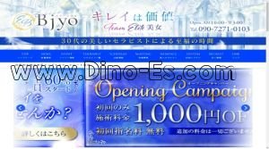 九条(京都)の「エリート美女」電話番号：090-7271-0103
