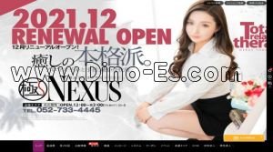 名古屋の「極みSPAネクサス東海 旧イマジン名古屋」電話番号：052-735-0723