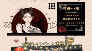 越谷の「可愛い猫」電話番号：090-7407-8335