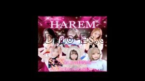 熊谷の「Porn HAREM 熊谷店」電話番号：090-8345-8060