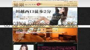 川越の「猫娘」電話番号：080-3349-1688