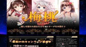 竹ノ塚の「梅桃」電話番号：080-9275-6299