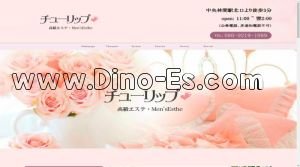 中央林間駅近くのメンズエステ店舗（チューリップ） | DINOエステ（ディノエステ）