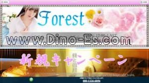 船橋駅近くのメンズエステ店舗（Forest） | DINOエステ（ディノエステ）