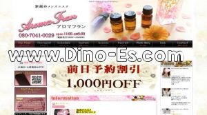 新越谷駅近くのメンズエステ店舗（Aroma Fran～アロマフラン～） | DINOエステ（ディノエステ）