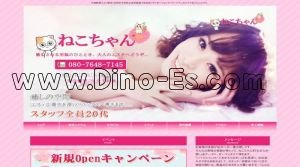 大森(東京)の「ねこちゃん」電話番号：080-7648-7145