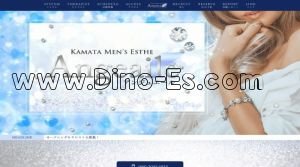 蒲田駅(Angeaile～アンジュエール～)のホームページや公式サイトです