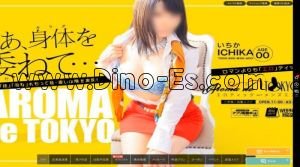 岡崎の「Aroma de TOKYO 三河店」電話番号：080-1557-0009