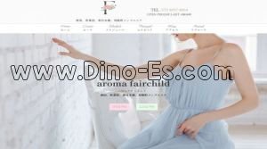 神田駅(fairchild ～フェアチャイルド～神田ルーム)のホームページや公式サイトです
