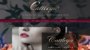 池袋の「カトレア 池袋店」電話番号：050-5445-1413