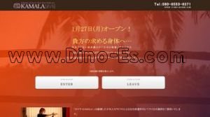博多の「カマラ KAMALA」電話番号：080-8553-6371