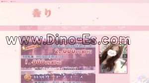 相模大野駅近くのメンズエステ店舗（香り） | DINOエステ（ディノエステ）