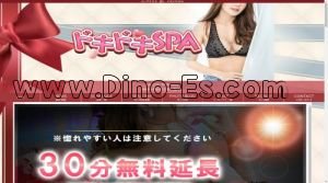 和歌山市の「ドキドキSPA」電話番号：070-2618-3033