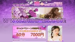 南流山の「猫」電話番号：080-8748-2380