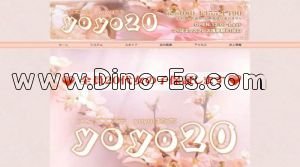 浅草(東武・都営・メトロ)の「yoyo20 yoyoはたち」電話番号：080-1355-1490