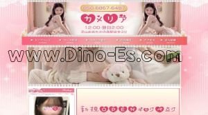 流山おおたかの森の「カメリア」電話番号：050-6867-6487