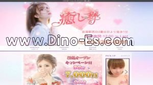 荻窪駅近くのメンズエステ店舗（癒し森） | DINOエステ（ディノエステ）