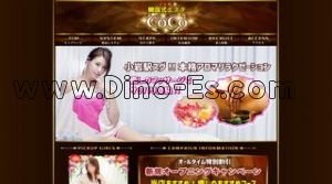 小岩駅近くのメンズエステ店舗（CoCo～ココ～） | DINOエステ（ディノエステ）