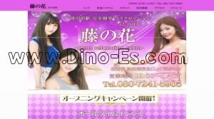 津田沼の「藤の花」電話番号：080-7241-5905