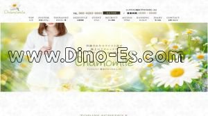 藤崎宮前駅近くのメンズエステ店舗（アロマカモミール） | DINOエステ（ディノエステ）
