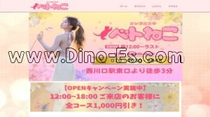 西川口駅近くのメンズエステ店舗（ベトねこ） | DINOエステ（ディノエステ）