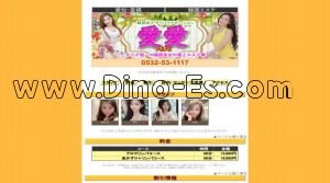 豊橋の「愛愛」電話番号：0532-53-1117
