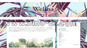 新宿御苑前の「Welina」電話番号：050-5372-0372