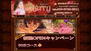 大和(神奈川)の「Sherry ～シェリー～」電話番号：080-2726-2511