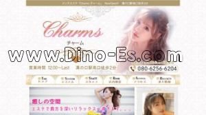 溝の口駅近くのメンズエステ店舗（Charms ～チャーム～） | DINOエステ（ディノエステ）