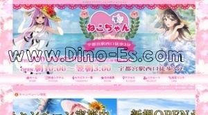 宇都宮の「ねこちゃん」電話番号：070-4463-0345