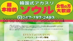柏の「ソウル」電話番号：047-197-2493