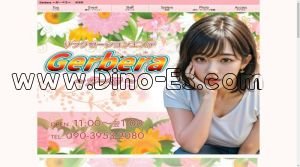 柳津(岐阜)の「Gerbera ～ガーベラ～」電話番号：090-3953-2080