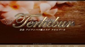坊城駅近くのメンズエステ店舗（Terhibur～テルヒブール） | DINOエステ（ディノエステ）