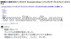 東銀座の「Lesmains Ginza～レマンギンザ～」電話番号：090-6758-8808